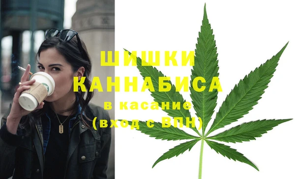 шишки Зеленокумск