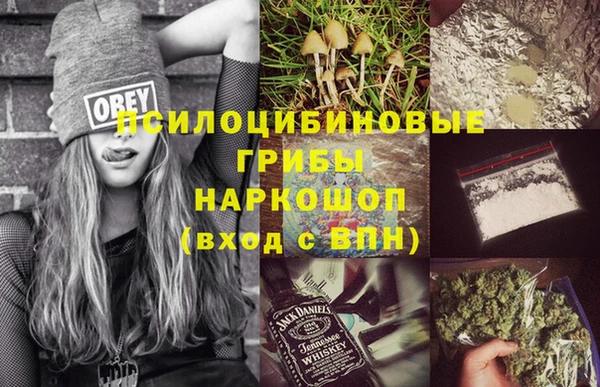 шишки Зеленокумск