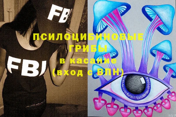 СК Зерноград