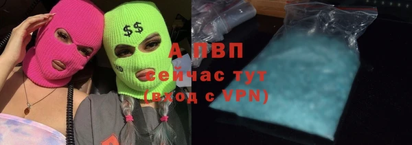 СК Зерноград