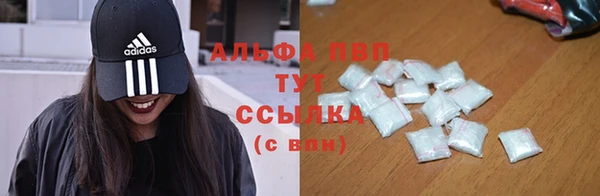 СК Зерноград