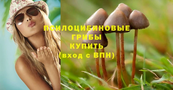 шишки Зеленокумск