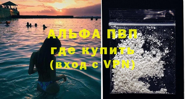 СК Зерноград