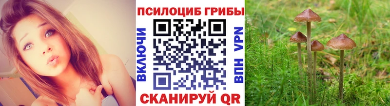 Галлюциногенные грибы MAGIC MUSHROOMS  блэк спрут рабочий сайт  Кедровый 